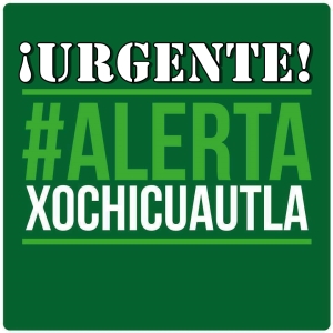 #AlertaXochicuautla. Prueba de la tala ilegal para construir una pinche autopista.