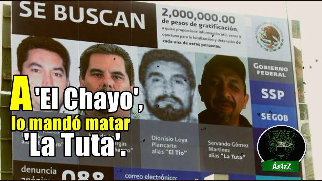 Dicen, en Tierra Caliente, que a 'El Chayo' lo mandó matar 'La Tuta '.