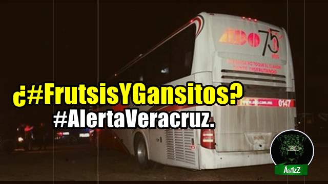 Asaltan autobús en Veracruz, abusan de las pasajeras. #FrutsisYGansitos.