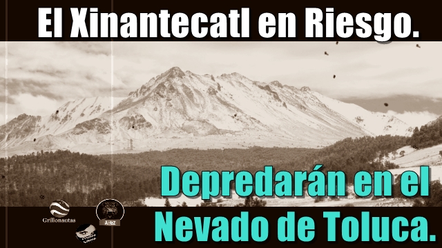 Peña Nieto será culpable del daño que se haga al Nevado de Toluca.