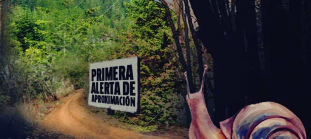 Cuarto comunicado del EZLN Varias Muertes Necesarias